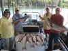 (06/20/2017) - Nice Striped Bass